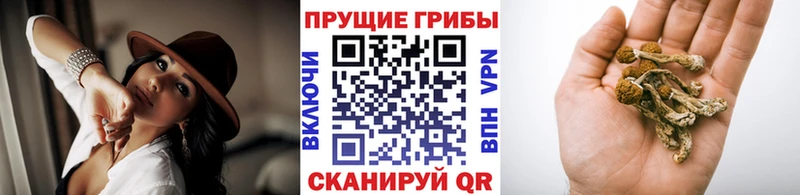 Псилоцибиновые грибы прущие грибы  где купить наркоту  Туймазы 